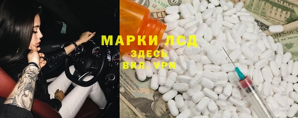 гашик Гусев