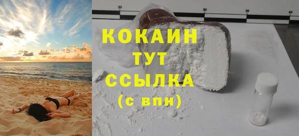 гашик Гусев
