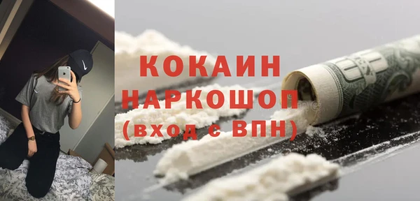 гашик Гусев