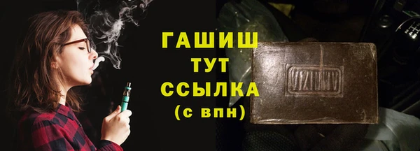 гашик Гусев
