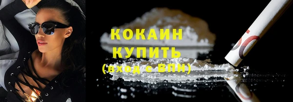 гашик Гусев