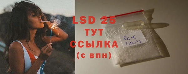гашик Гусев