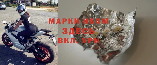 гашик Гусев